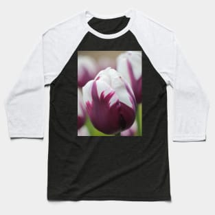 Tulip in White and Purple Baseball T-Shirt